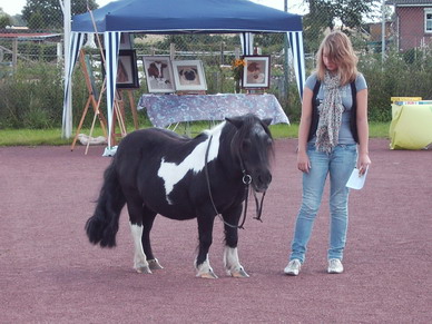 Das Pony *Rowdie* war wie im letzten Jahr ein gern gesehener Gast :)
